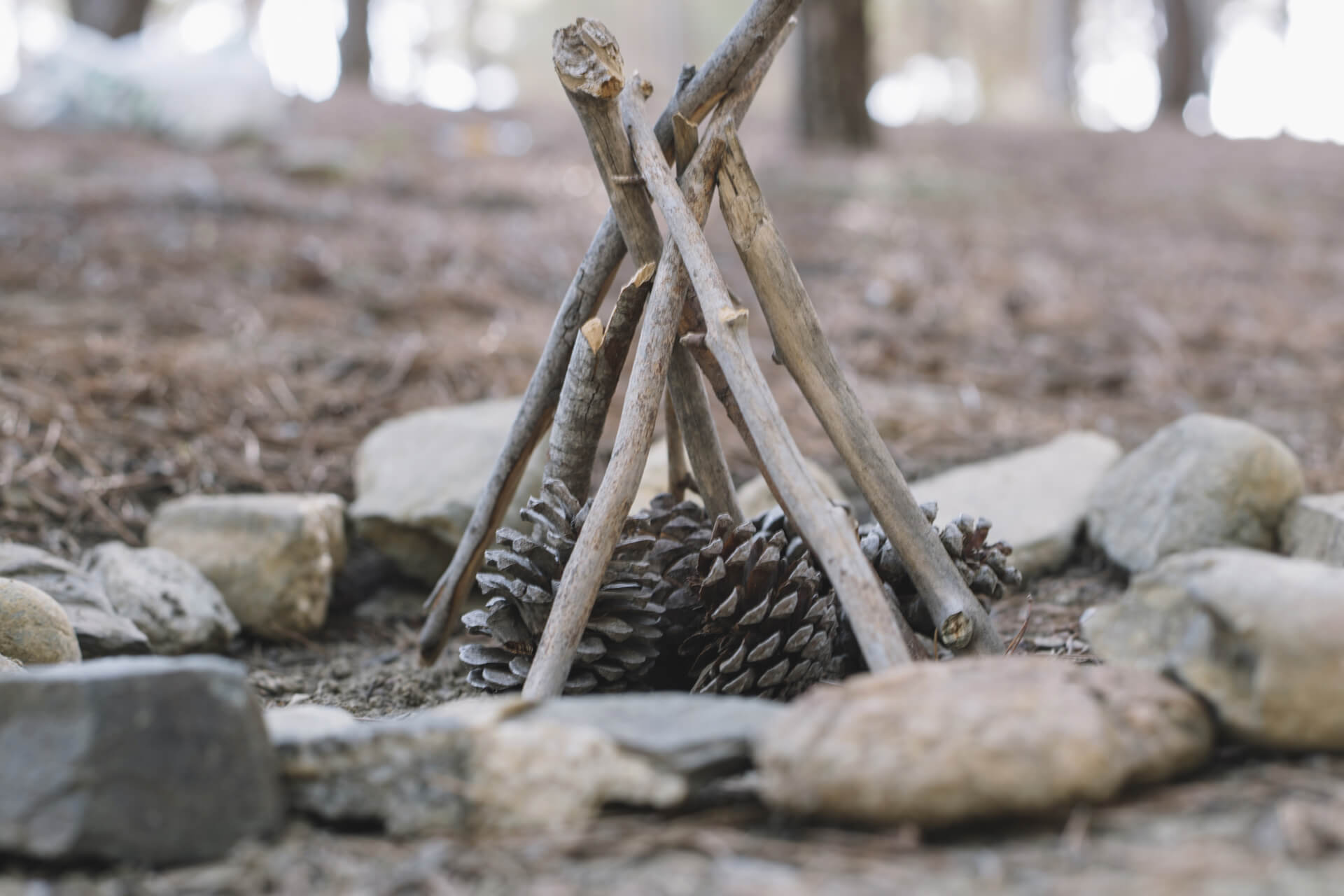 Camp Trappeur Versus Wild